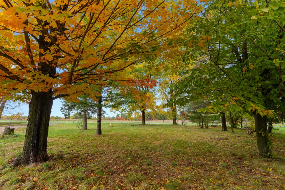 66301 County Road 681 Columbia Township, MI 49057