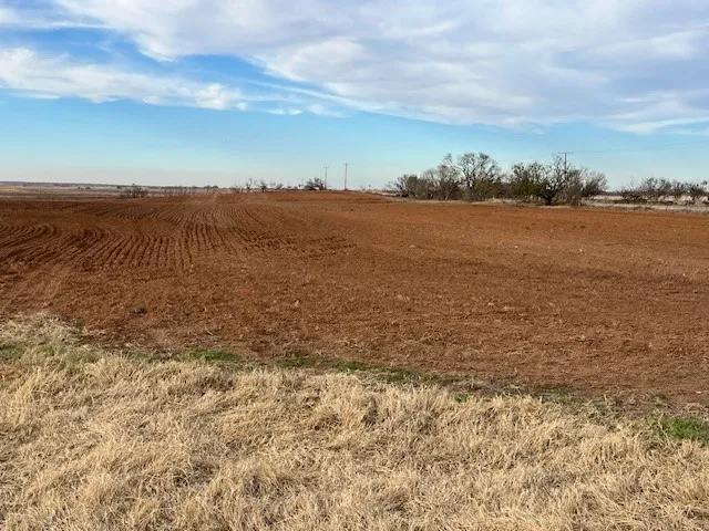 124 Fm 1224 Roby, TX 79543