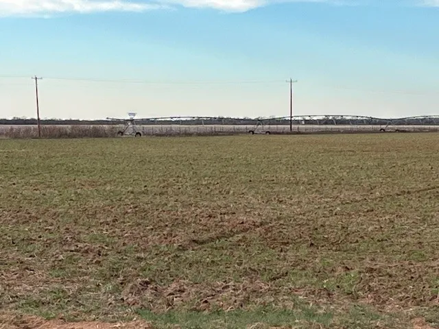 124 Fm 1224 Roby, TX 79543