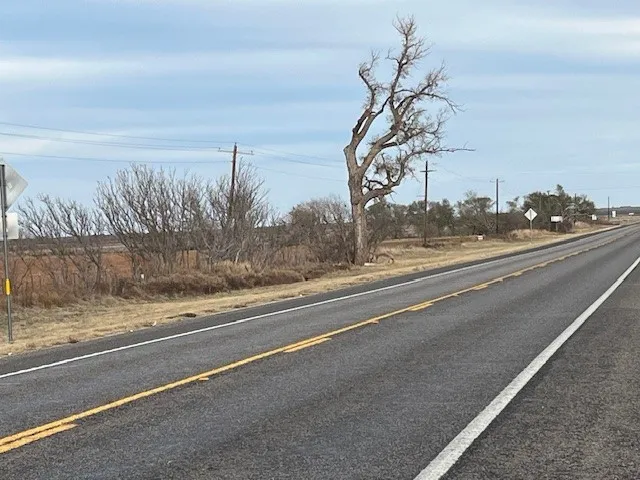 124 Fm 1224 Roby, TX 79543