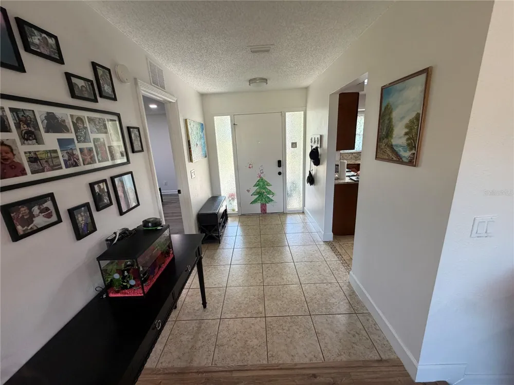 17512 BRANDYWINE DRIVE Lutz, FL 33549