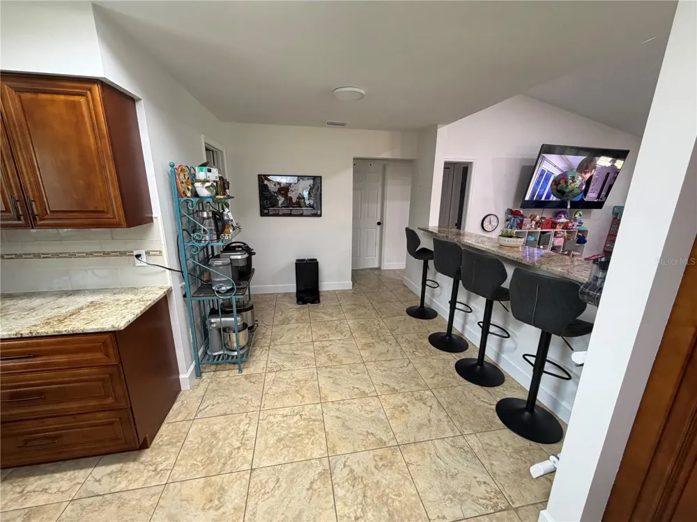 17512 BRANDYWINE DRIVE Lutz, FL 33549