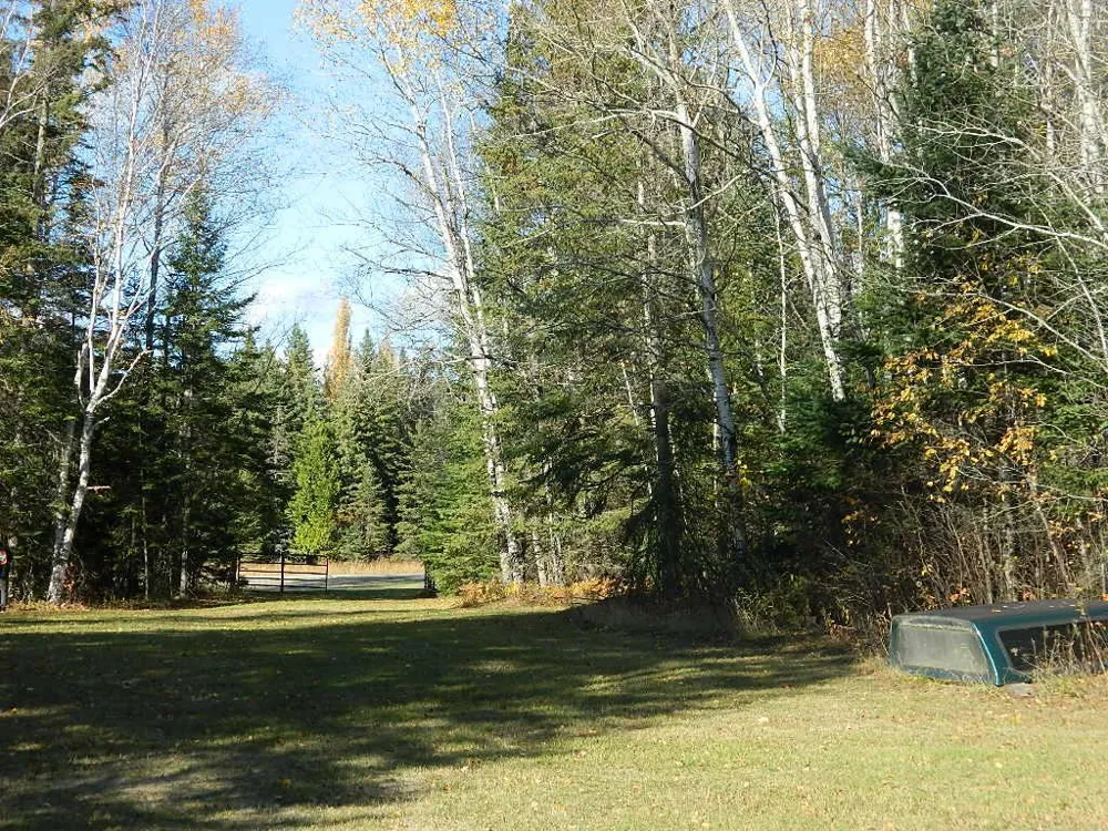 9372 County Road 32 W Loman, MN 56654