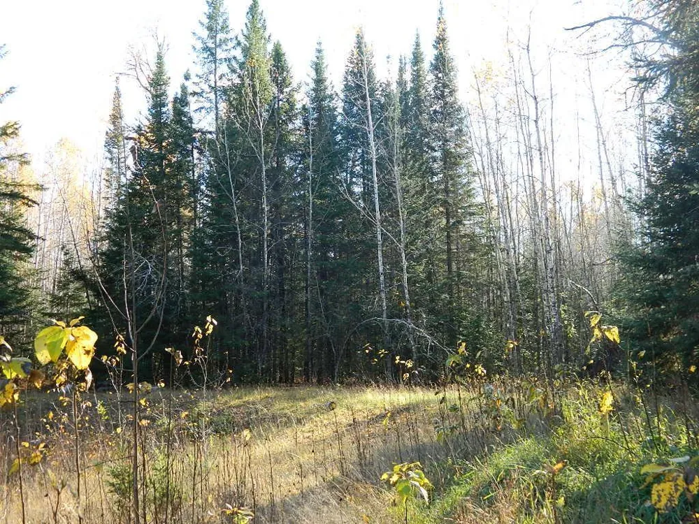 9372 County Road 32 W Loman, MN 56654