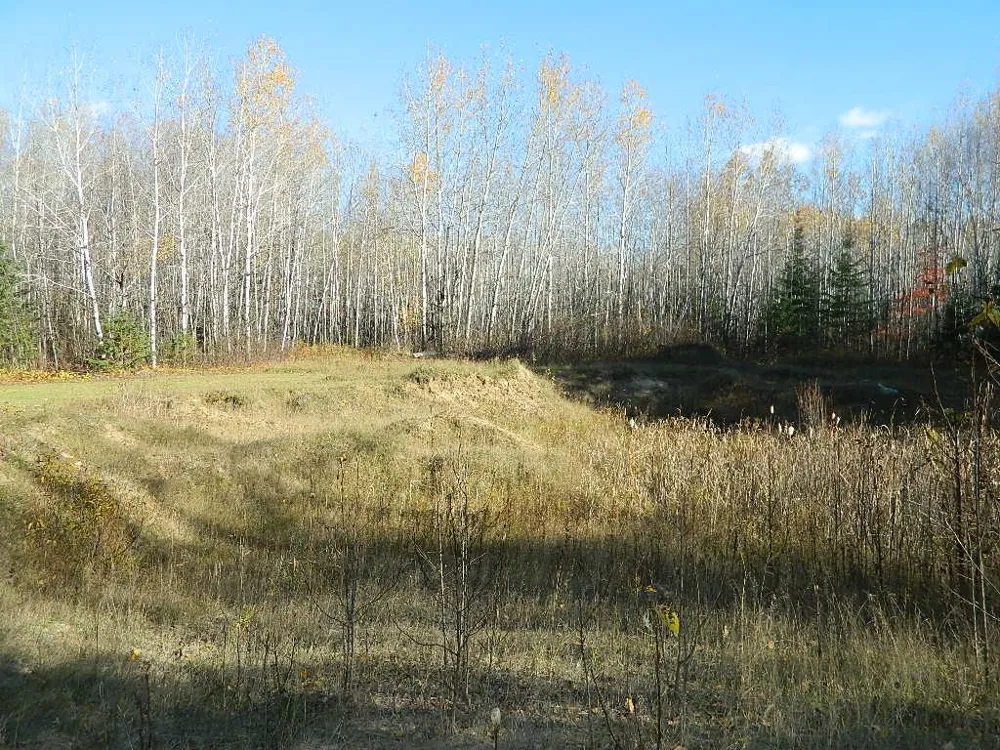 9372 County Road 32 W Loman, MN 56654