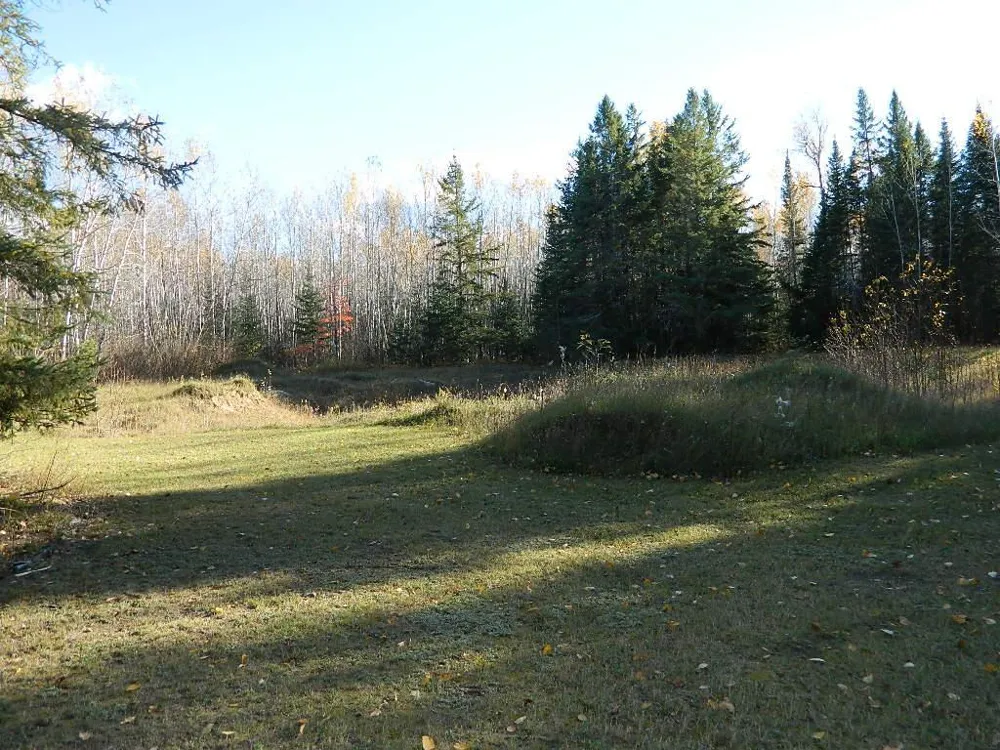 9372 County Road 32 W Loman, MN 56654