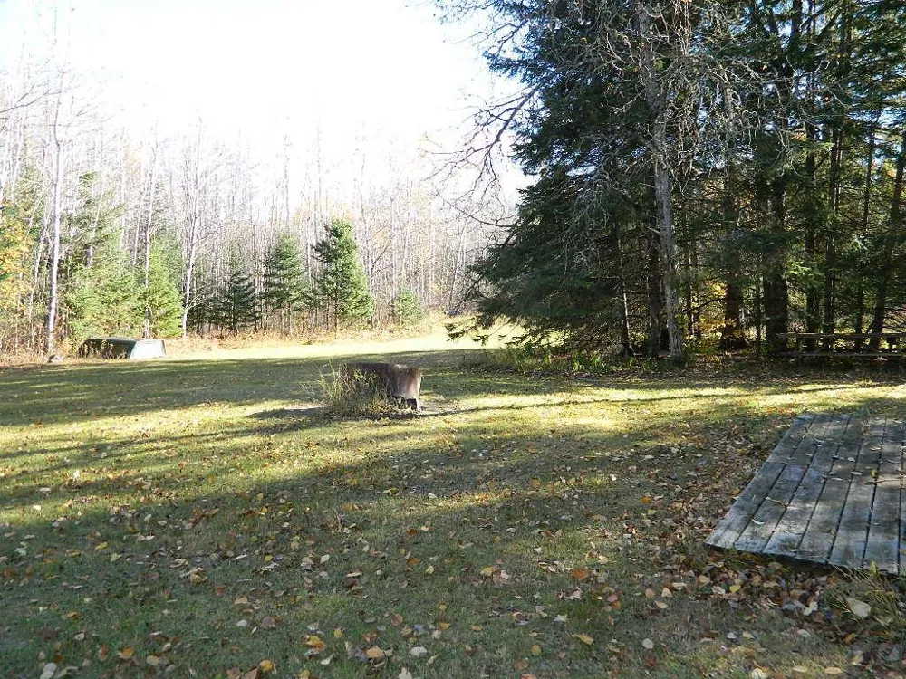 9372 County Road 32 W Loman, MN 56654