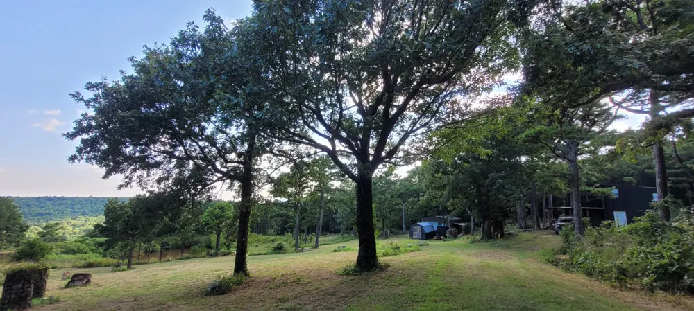 49536 State Highway 82 Talihina, OK 74571