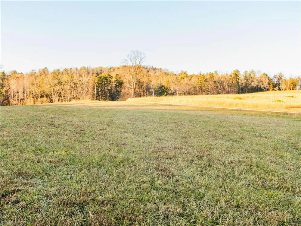 TBD Antler Drive McGrady, NC 28649