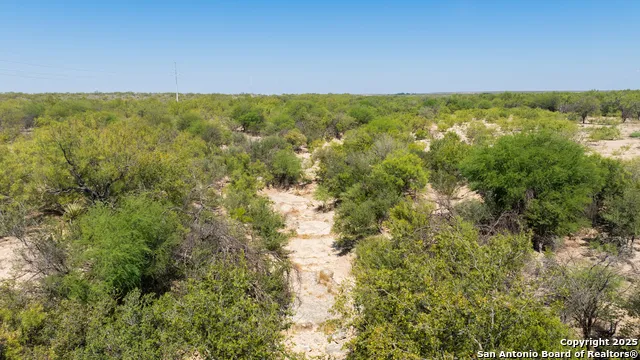 2133 Lausen Del Rio, TX 78840