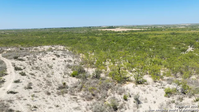 2133 Lausen Del Rio, TX 78840