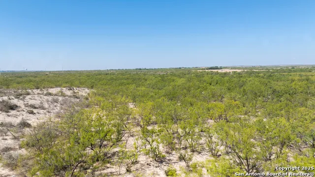 2133 Lausen Del Rio, TX 78840