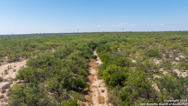2133 Lausen Del Rio, TX 78840
