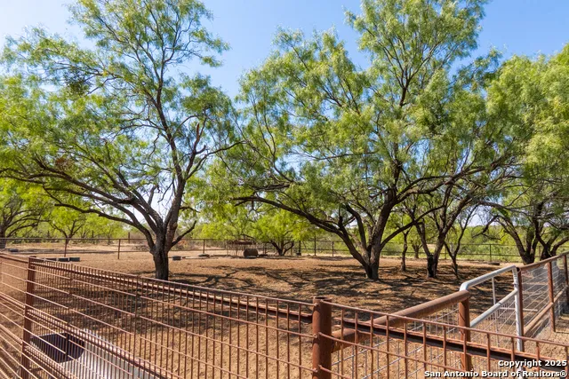 2133 Lausen Del Rio, TX 78840