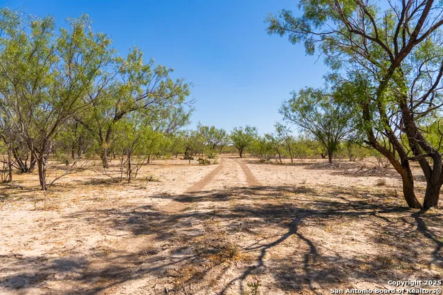 2133 Lausen Del Rio, TX 78840
