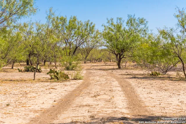 2133 Lausen Del Rio, TX 78840
