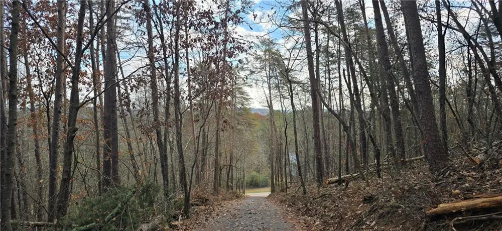 Tract 30 Deerfield Estates Fairmount, GA 30139