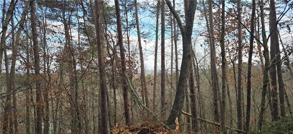 Tract 30 Deerfield Estates Fairmount, GA 30139