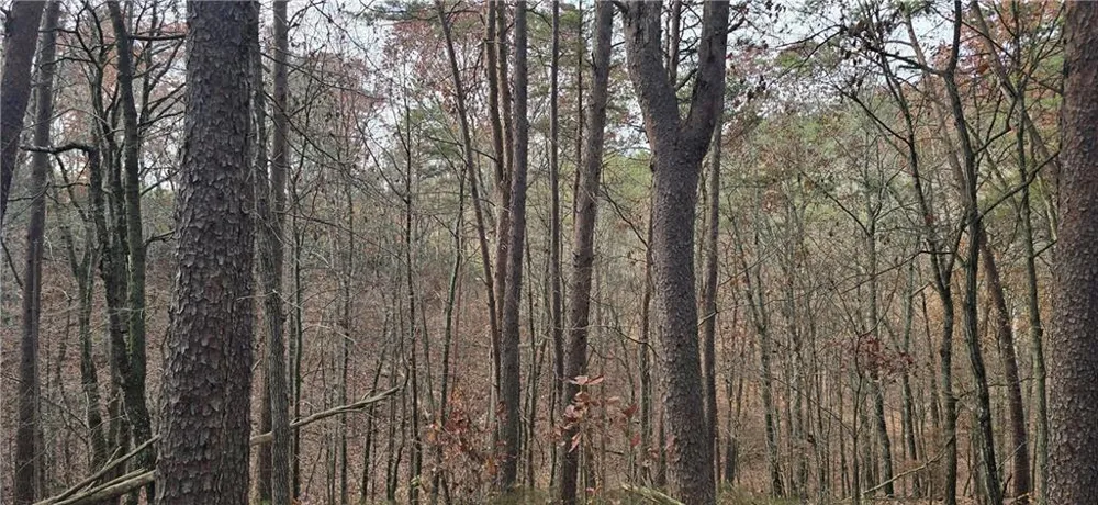 Tract 30 Deerfield Estates Fairmount, GA 30139