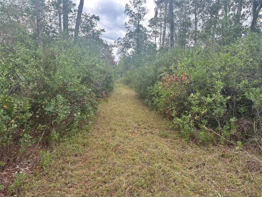 1106 GREENBRIAR DRIVE Christmas, FL 32709