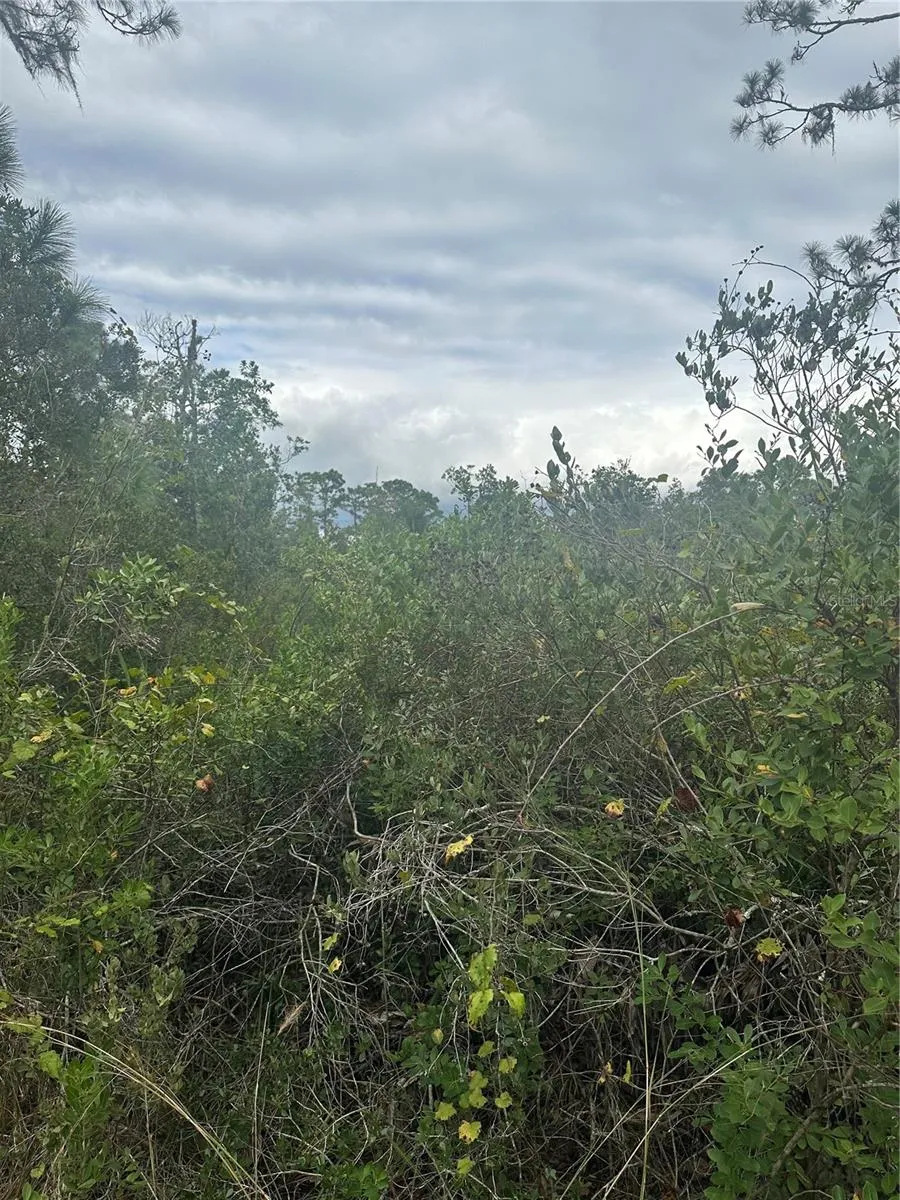 1106 GREENBRIAR DRIVE Christmas, FL 32709
