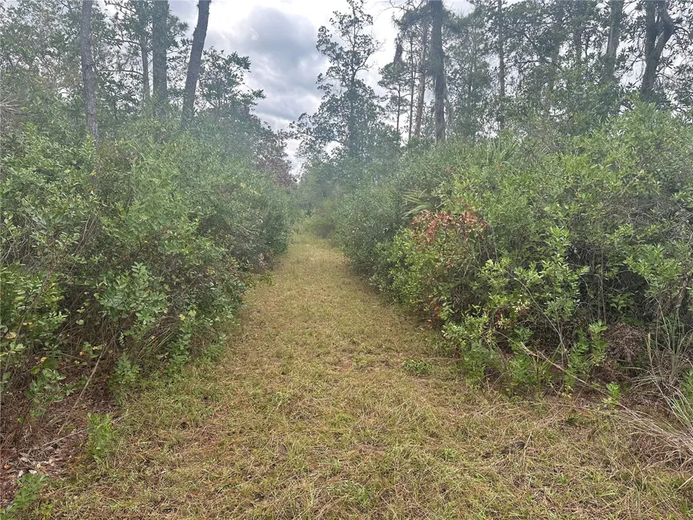 1112 GREENBRIAR DRIVE Christmas, FL 32709