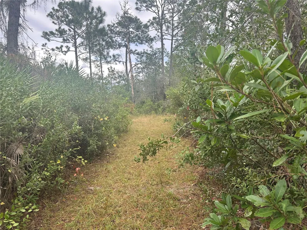 1112 GREENBRIAR DRIVE Christmas, FL 32709