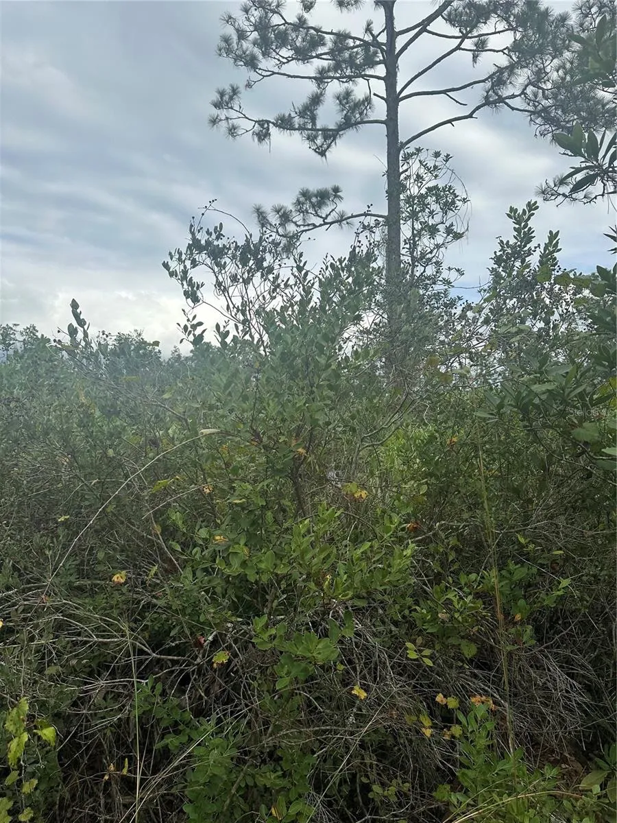 1112 GREENBRIAR DRIVE Christmas, FL 32709
