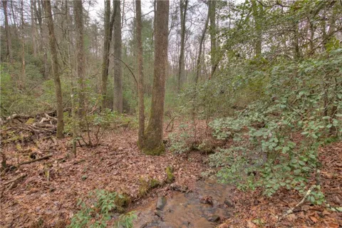 2152 Royal Fern Trail