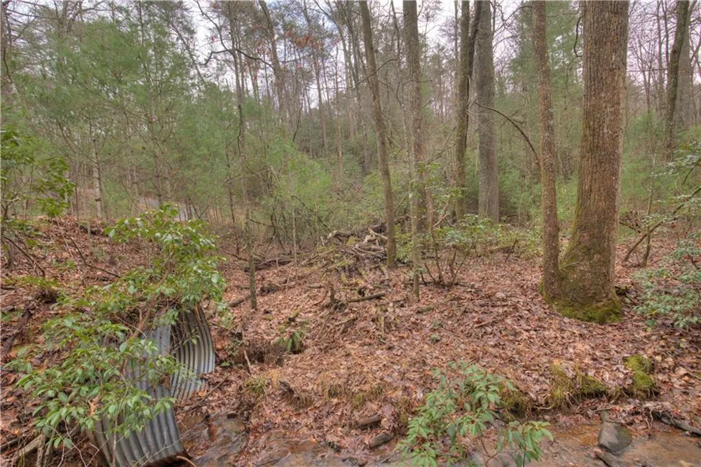2152 Royal Fern Trail Big Canoe, GA 30143