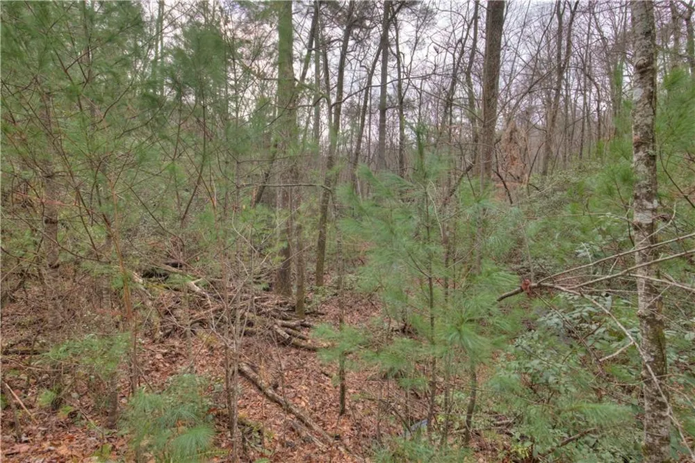 2152 Royal Fern Trail Big Canoe, GA 30143
