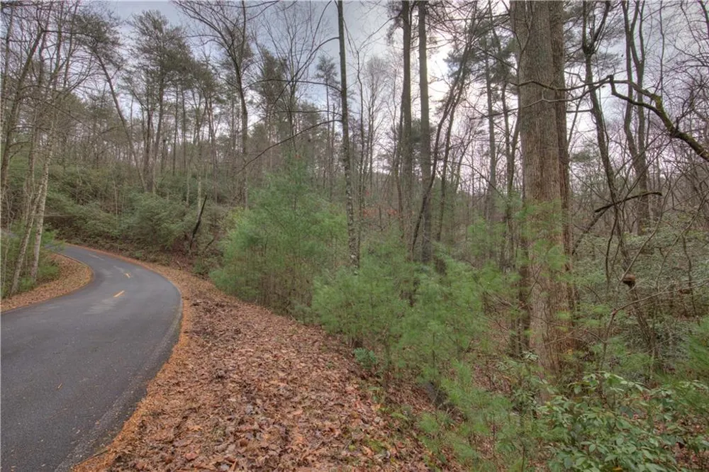 2152 Royal Fern Trail Big Canoe, GA 30143