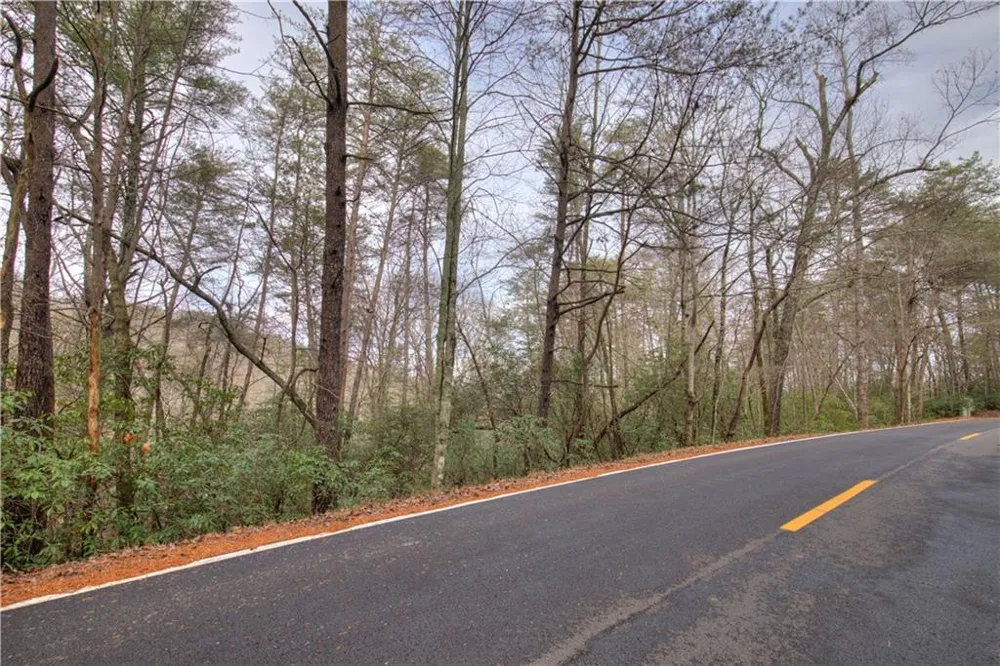2152 Royal Fern Trail Big Canoe, GA 30143