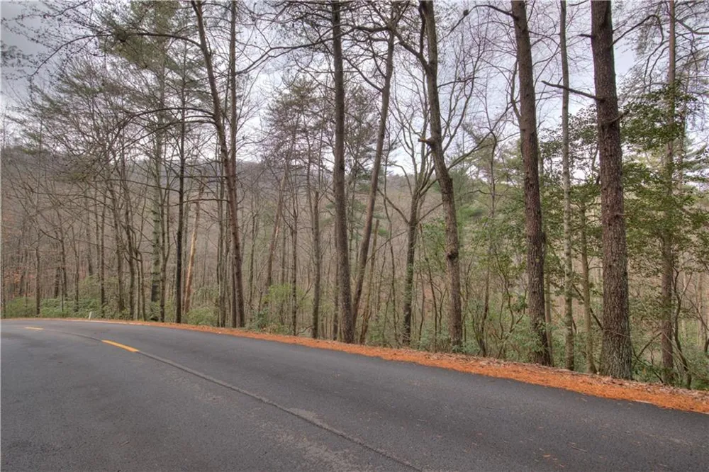 2152 Royal Fern Trail Big Canoe, GA 30143