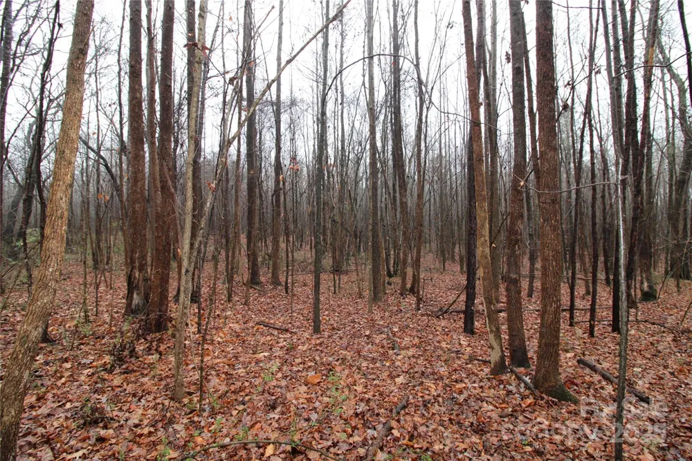 4.38+/-AC Eaker Road #LOT 3 Bessemer City, NC 28016