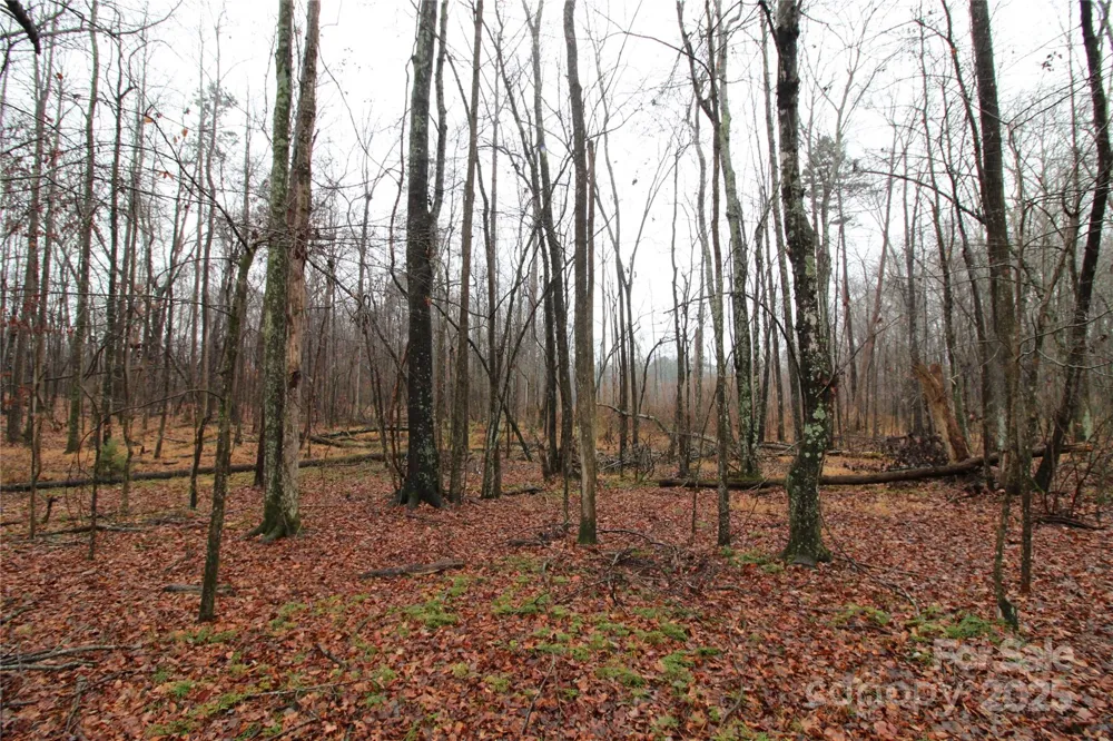 4.38+/-AC Eaker Road #LOT 3 Bessemer City, NC 28016
