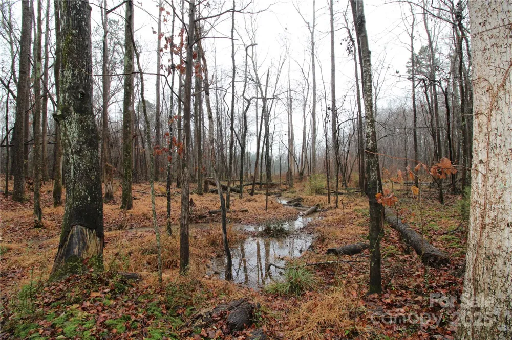 4.38+/-AC Eaker Road #LOT 3 Bessemer City, NC 28016