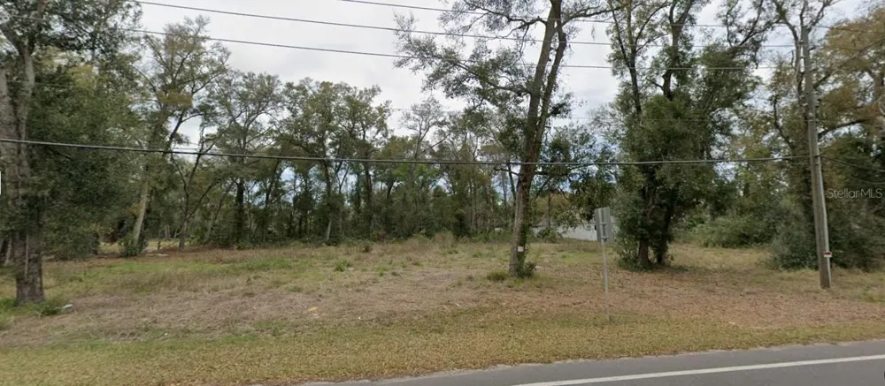 TBD SORRENTO AVENUE Sorrento, FL 32776
