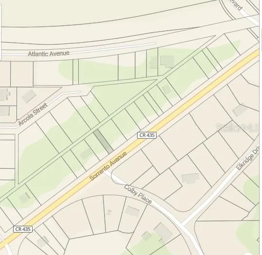 TBD SORRENTO AVENUE Sorrento, FL 32776