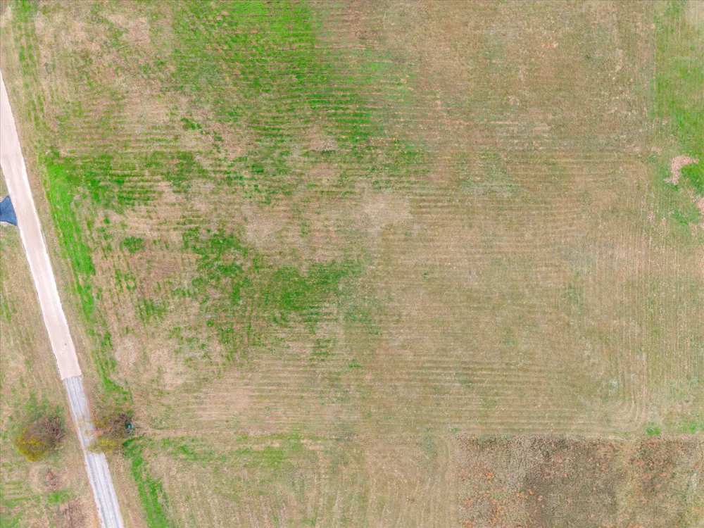 PR 52320 Pittsburg, TX 75686