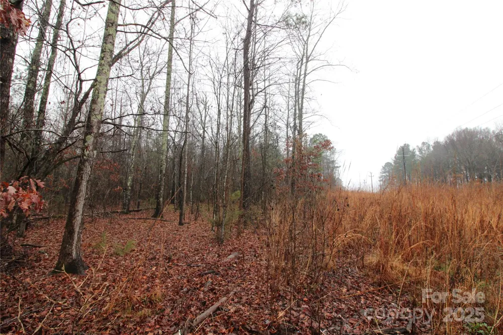 4.58+/-AC Eaker Road #LOT 4 Bessemer City, NC 28016