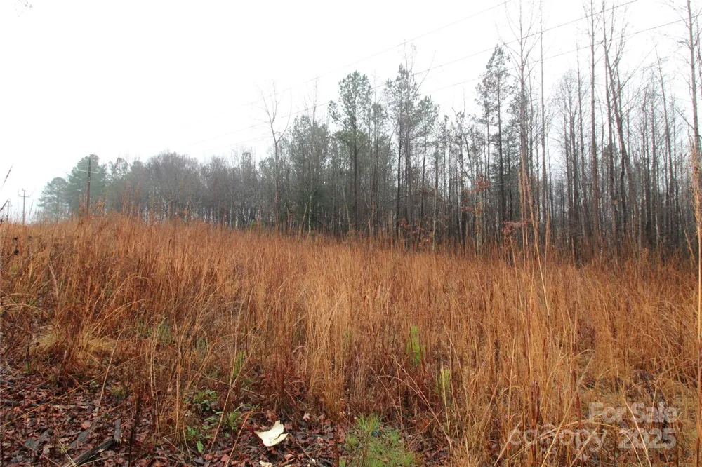 4.58+/-AC Eaker Road #LOT 4 Bessemer City, NC 28016