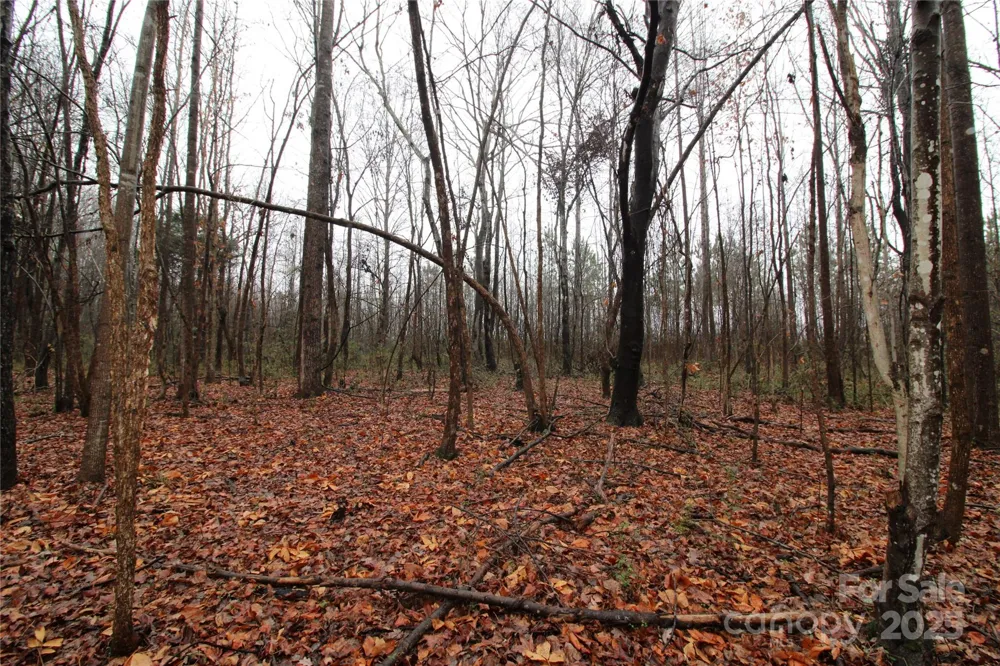 4.58+/-AC Eaker Road #LOT 4 Bessemer City, NC 28016