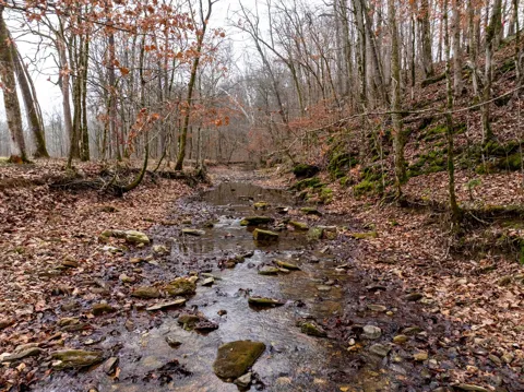 0 Shelter Branch Road