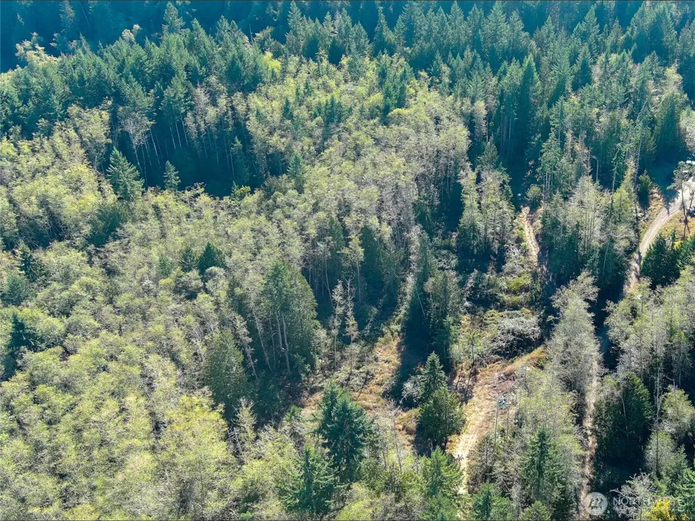1 XXX Lee Valley Road Quilcene, WA 98376