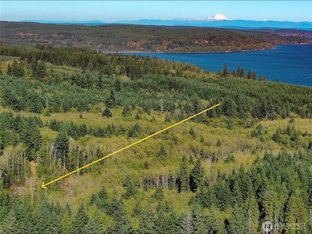 1 XXX Lee Valley Road Quilcene, WA 98376