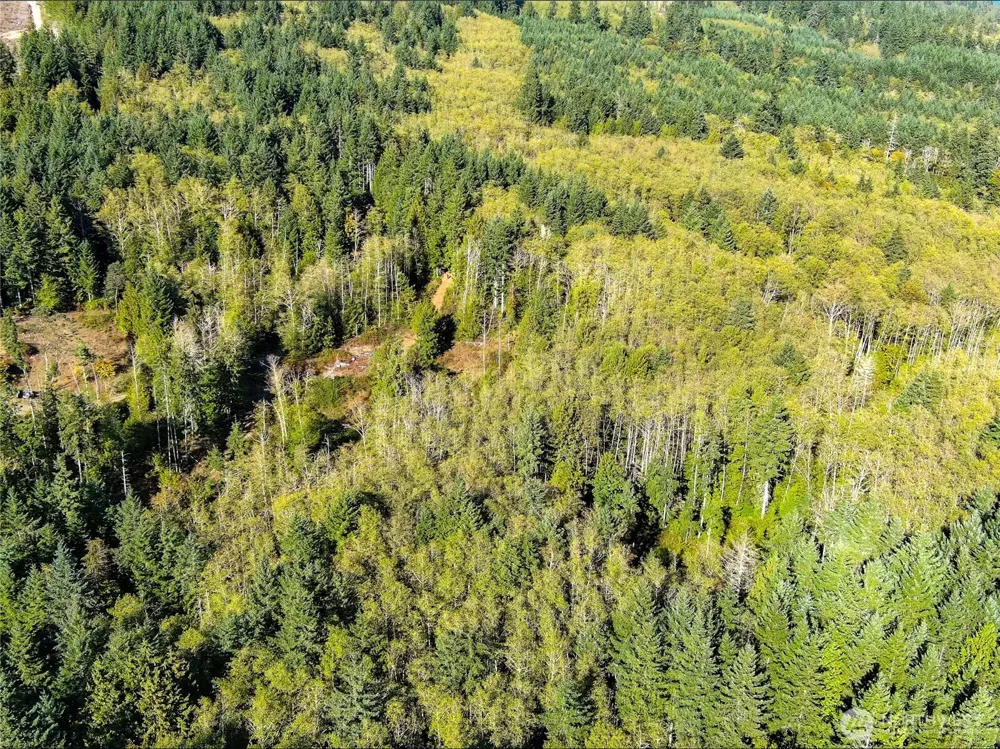 1 XXX Lee Valley Road Quilcene, WA 98376