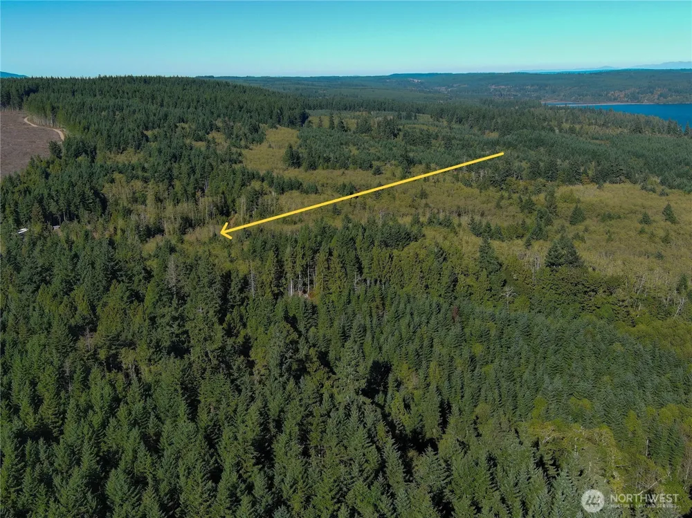 1 XXX Lee Valley Road Quilcene, WA 98376