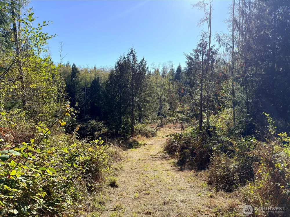 1 XXX Lee Valley Road Quilcene, WA 98376
