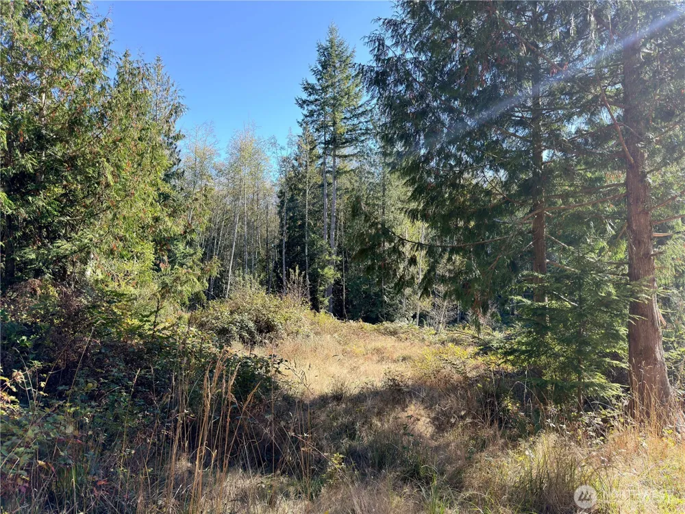 1 XXX Lee Valley Road Quilcene, WA 98376